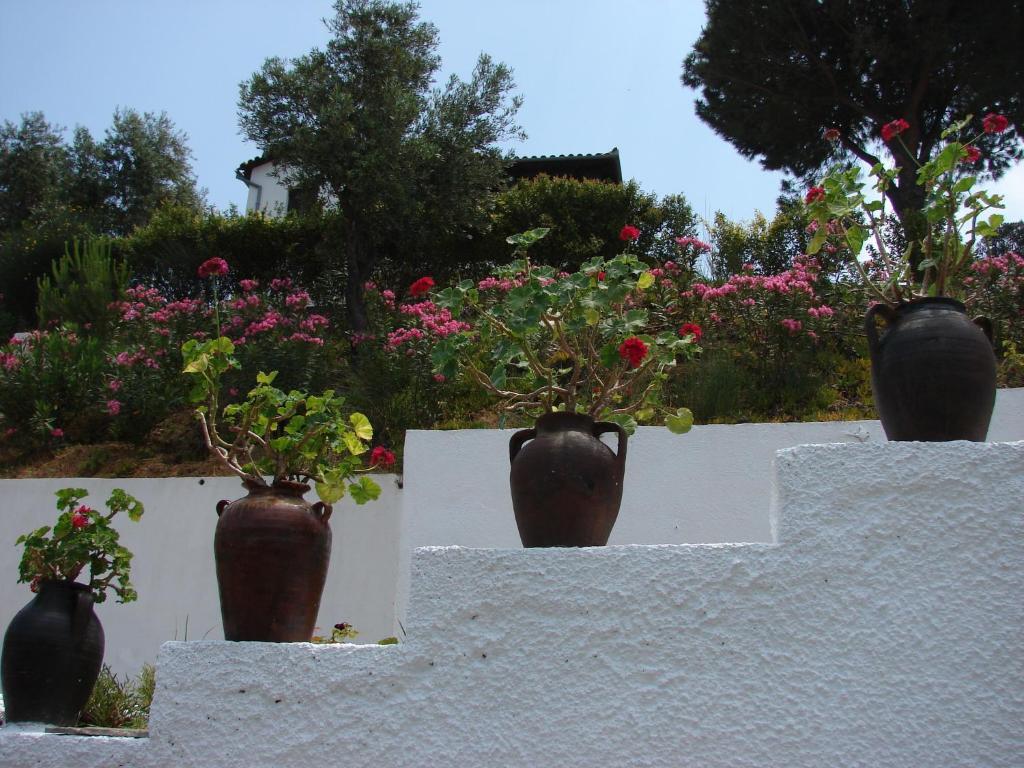 Villa Frideriki Agia Paraskevi  Exterior photo